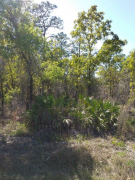 Photo of listing 13231