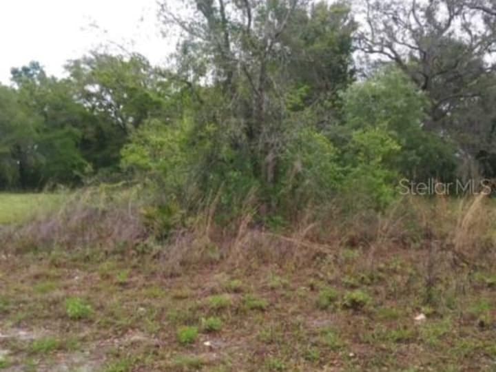 Photo of listing 13289